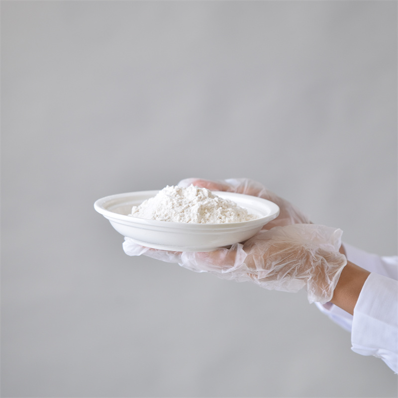 Adenosine 5'-triphosphate disodium salann CAS 987-65-5